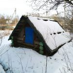 Изображение со страницы: жилой дом и земельный участок с.Чуровское-8