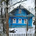 Изображение со страницы: жилой дом и земельный участок с.Чуровское-9