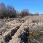 Изображение со страницы: земельный участок д.Нифантово ИЖС-4