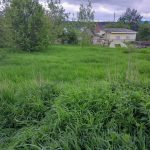 Изображение со страницы: земельный участок д.Малое Митенино-1