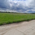 Изображение со страницы: земельный участок д.Нифантово-4