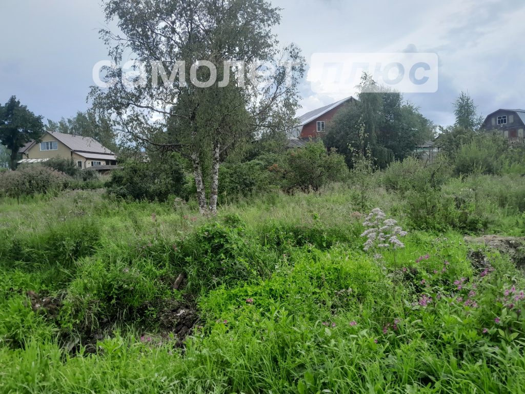 Изображение со страницы: земельный участок п.Шексна ул. Нагорная
