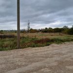 Изображение со страницы: земельный участок д.Нифантово-5