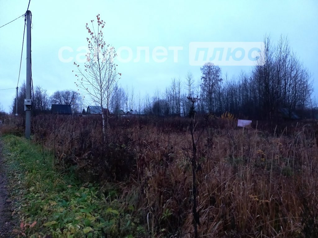 Изображение со страницы: земельный участок СОТ Заря-3
