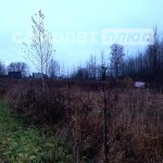 Изображение со страницы: земельный участок СОТ Заря-3-1