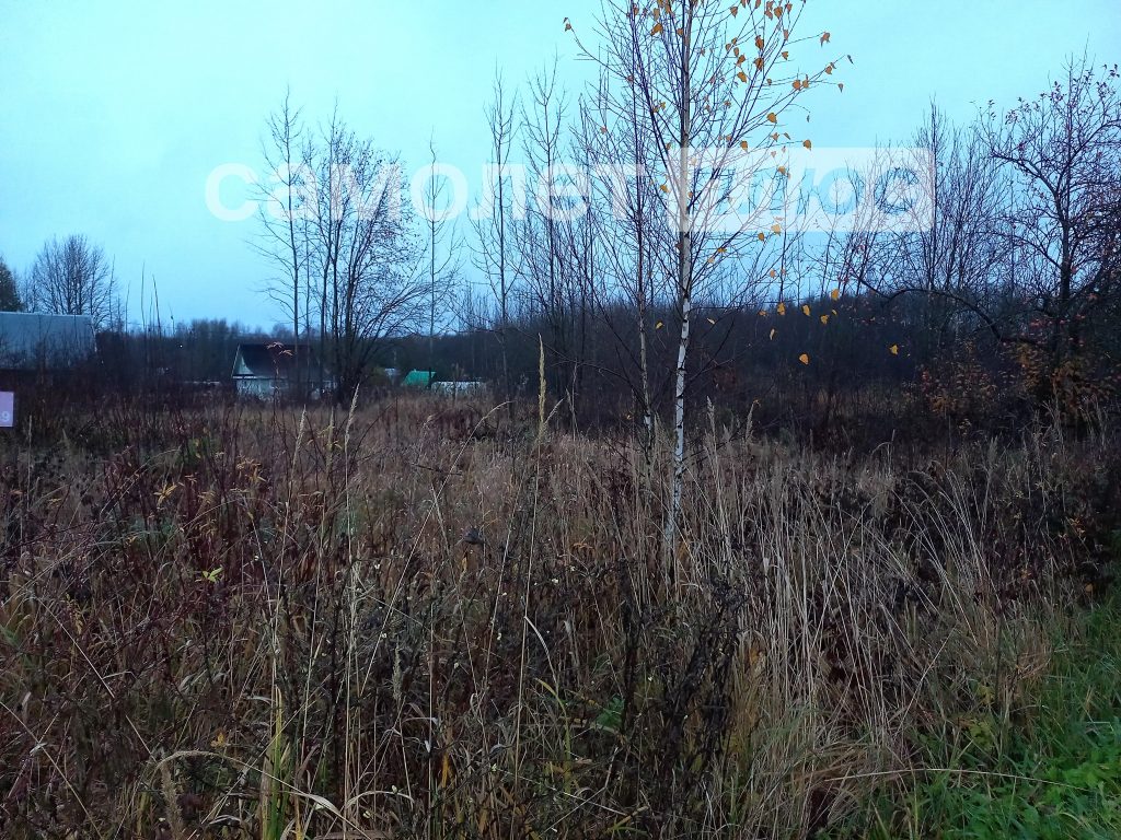 Изображение со страницы: земельный участок СОТ Заря-3