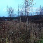 Изображение со страницы: земельный участок СОТ Заря-3-3