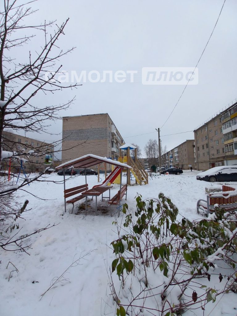 Изображение со страницы: трехкомнатная квартира п.Шексна ул. Труда д.13