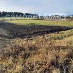 Изображение со страницы: земельный участок д.Слизово-4