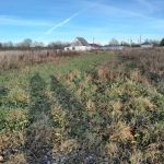 Изображение со страницы: земельный участок д.Слизово-7