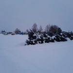 Изображение со страницы: земельный участок д.Нифантово-3