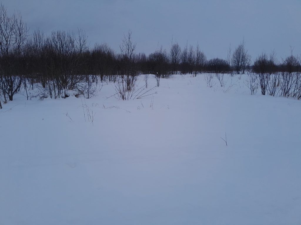 Изображение со страницы: земельный участок д.Нифантово