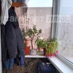 Изображение со страницы: 2к квартира п.Шексна ул.Исполкомовская д.17-9