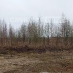 Изображение со страницы: земельный участок п.Шексна ул. Луговая-3