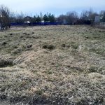 Изображение со страницы: земельный участок СОТ Заря-2-1