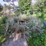 Изображение со страницы: жилой дом д.Кренево-8