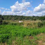 Изображение со страницы: земельный участок д.Старое Село-5