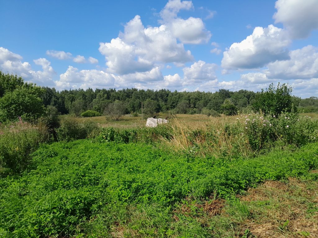Изображение со страницы: земельный участок д.Старое Село