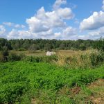 Изображение со страницы: земельный участок д.Старое Село-6